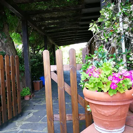 Villa Il Gelsomino